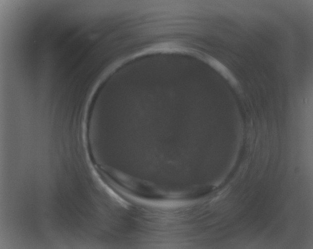 X0000082971334200702081732