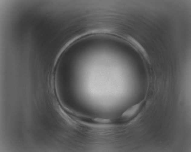 X0000082971340200702081732