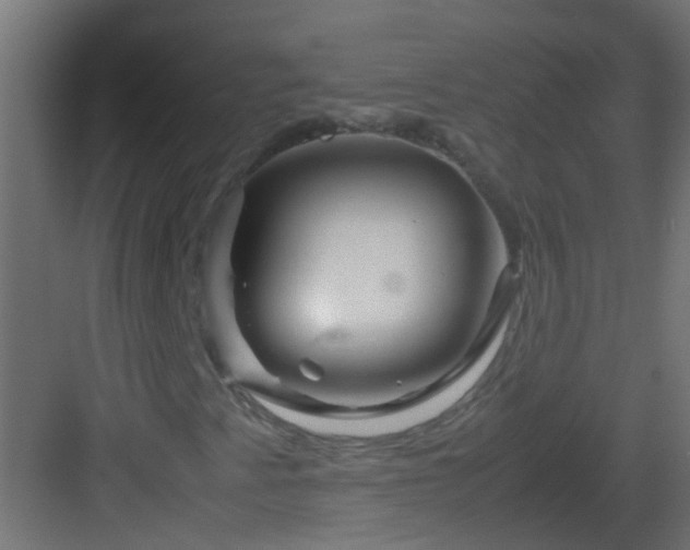 X0000082971345200702081731