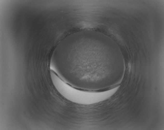 X0000082971348200702081731