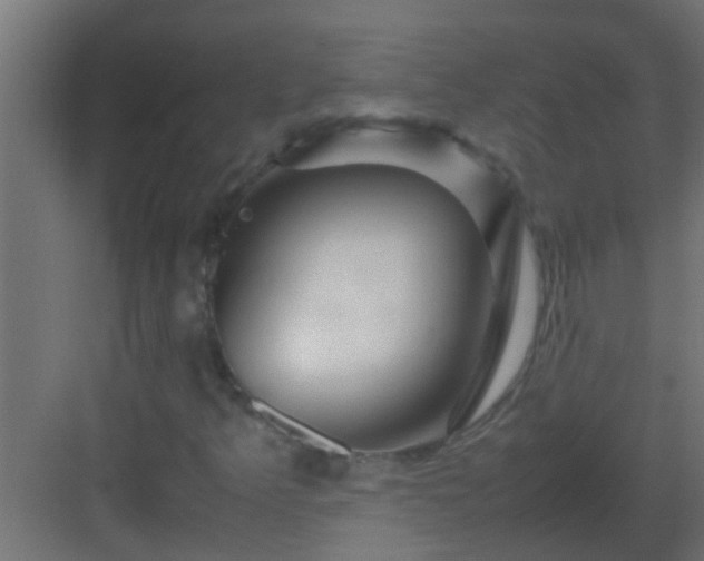 X0000082971349200702081731