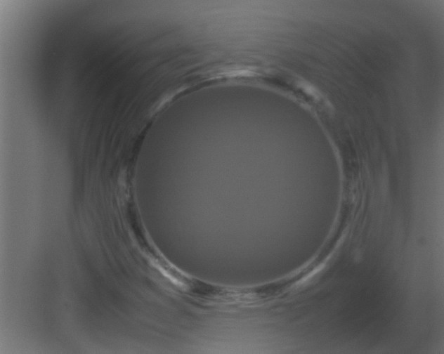 X0000082971353200702081731