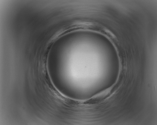 X0000082971354200702081731