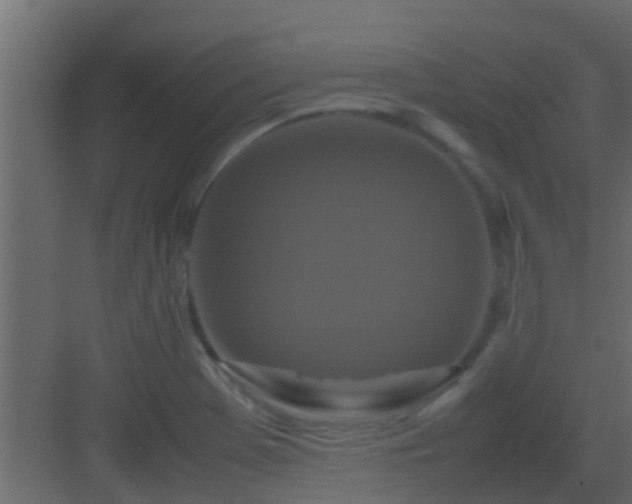 X0000082971369200702081731