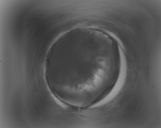 X0000082971383200702081730