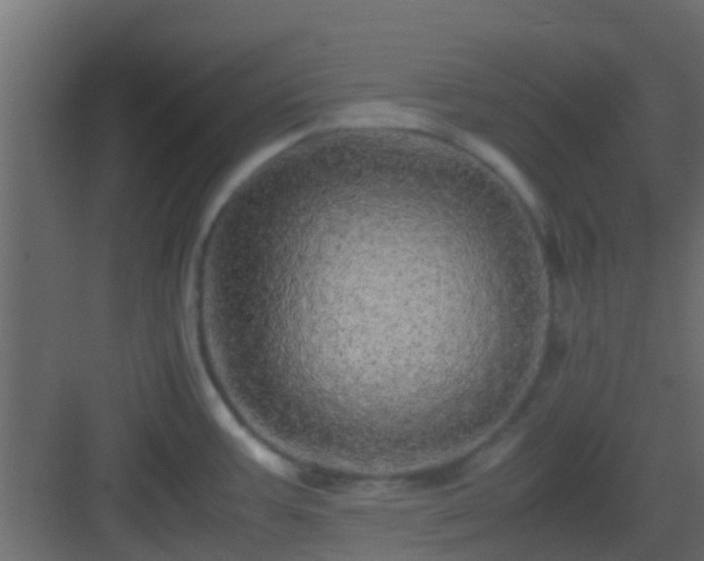X0000082971387200702081730
