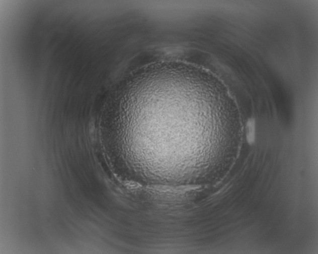 X0000082971395200702081729