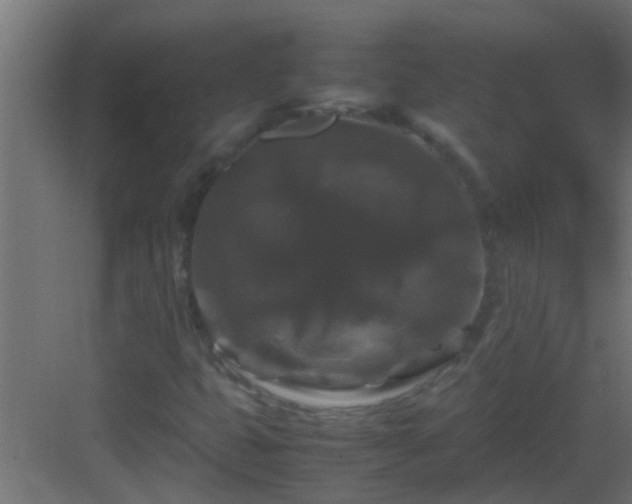 X0000082971399200702081730