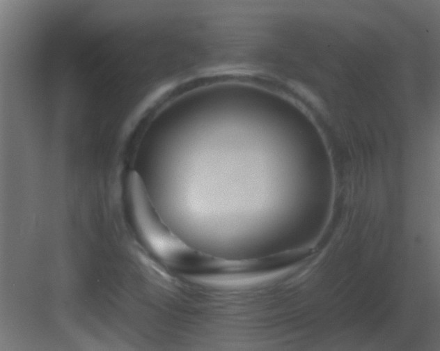 X0000082971406200702081730