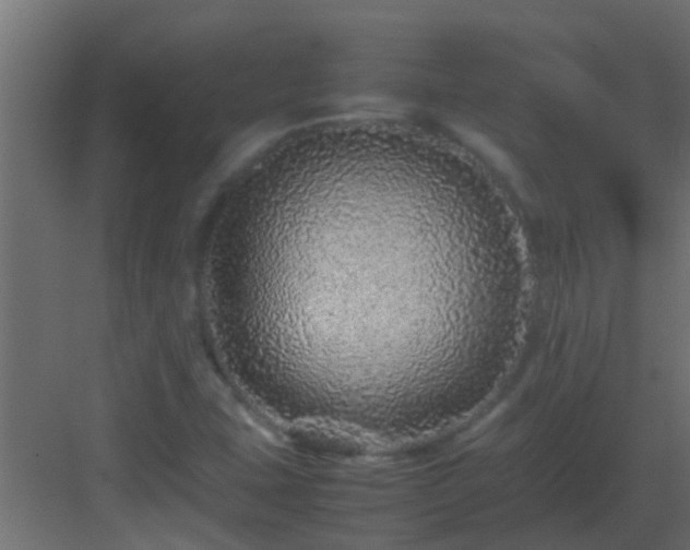 X0000082971407200702081730