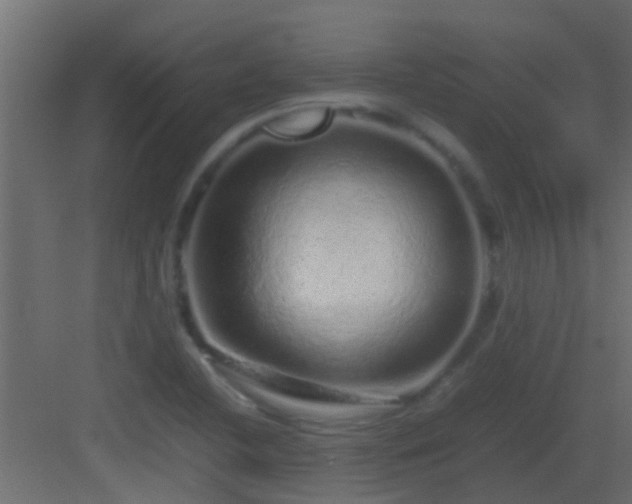 X0000082971412200702081730