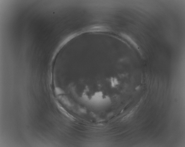 X0000082971413200702081730