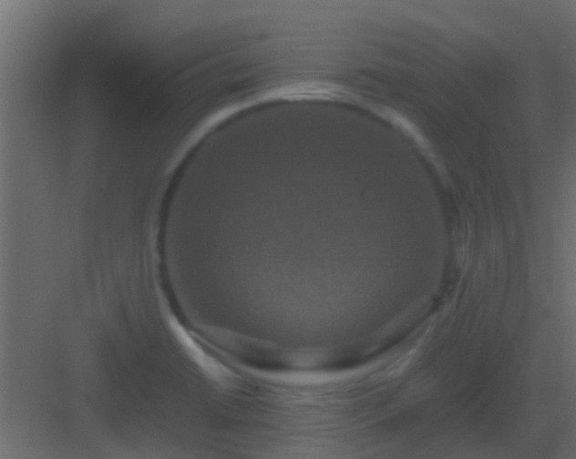 X0000082971422200702081730