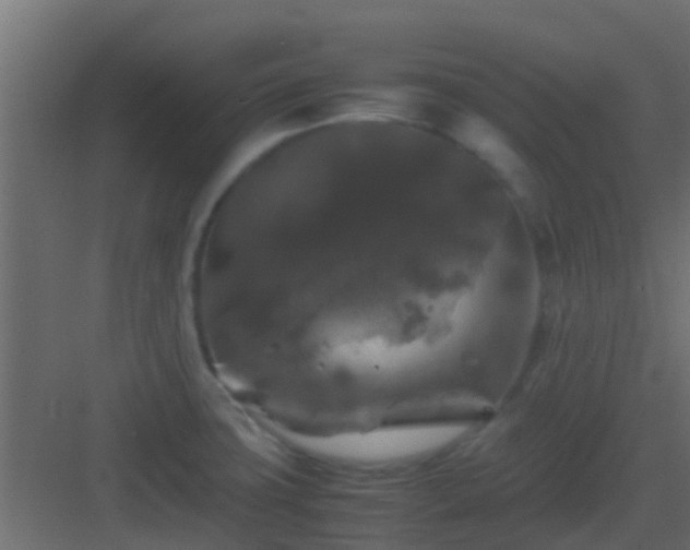 X0000082971427200702081730