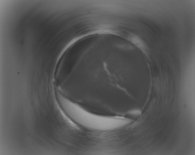 X0000082971428200702081730