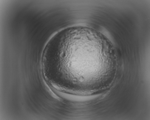 X0000082971436200702081730