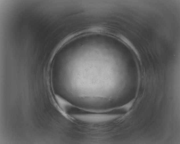 X0000082971437200702081730