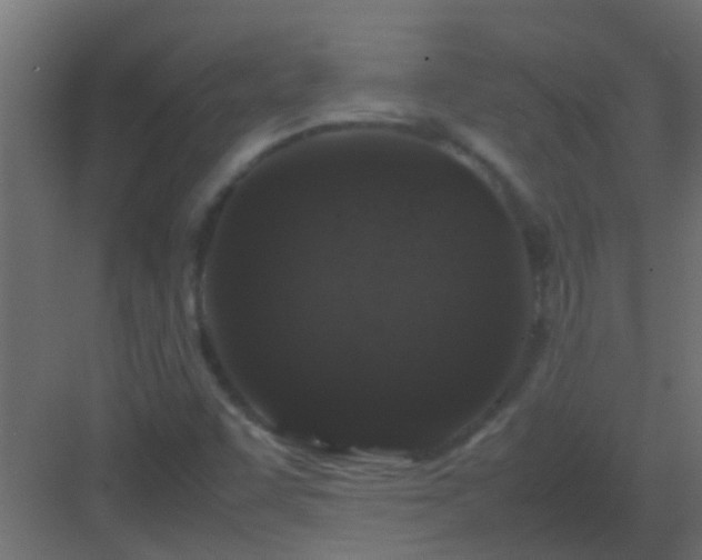 X0000082971455200702081729