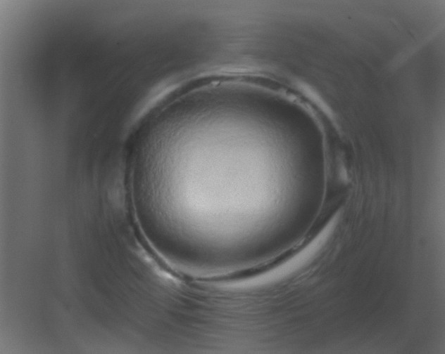 X0000082971456200702081729