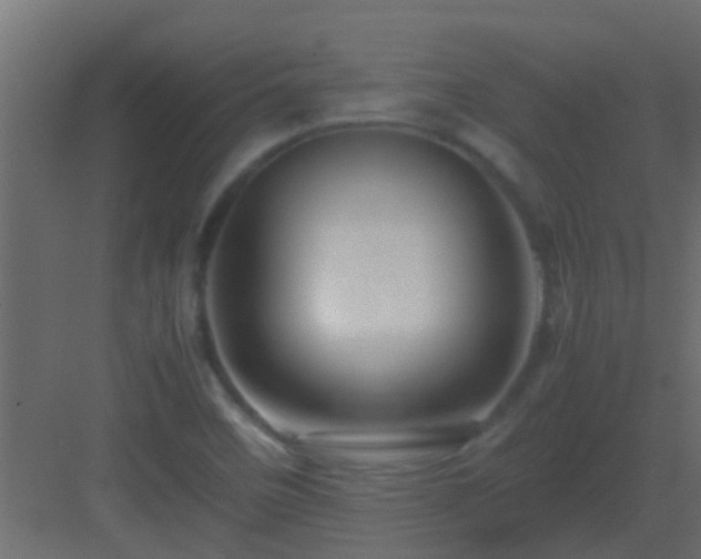 X0000082971458200702081729