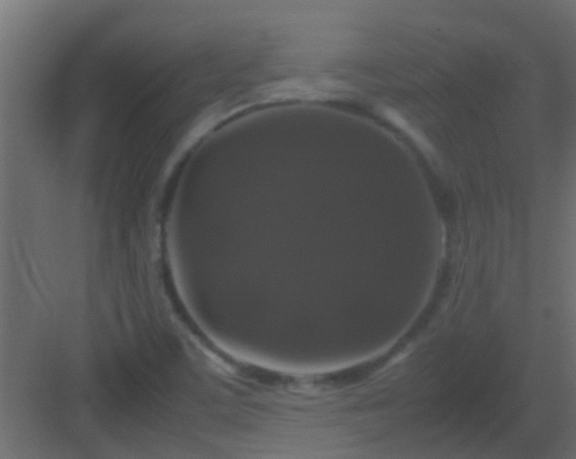X0000082971459200702081729