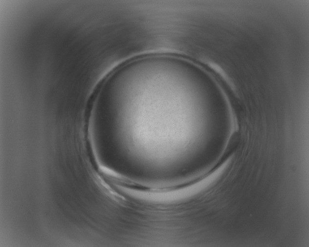 X0000082971460200702081729