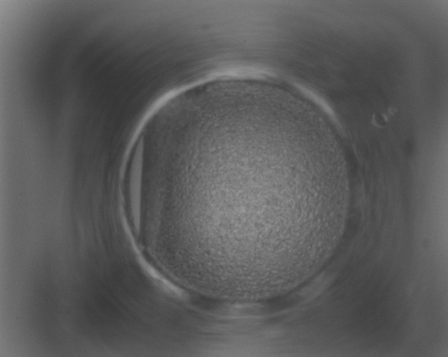 X0000082971471200702081729