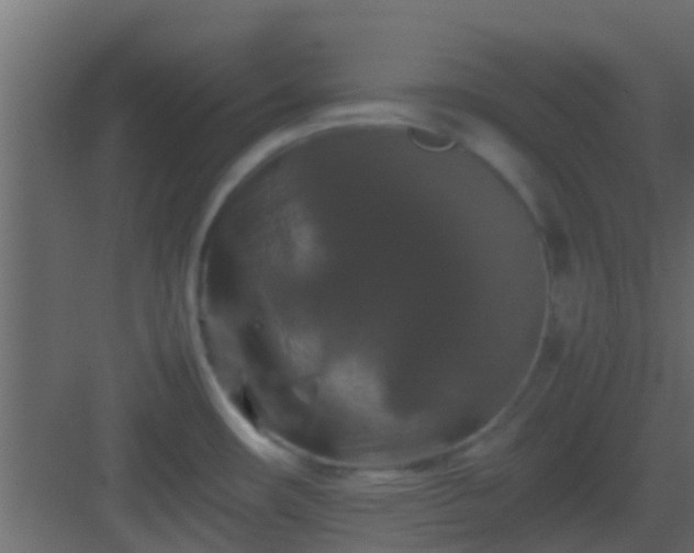 X0000082971482200702081729