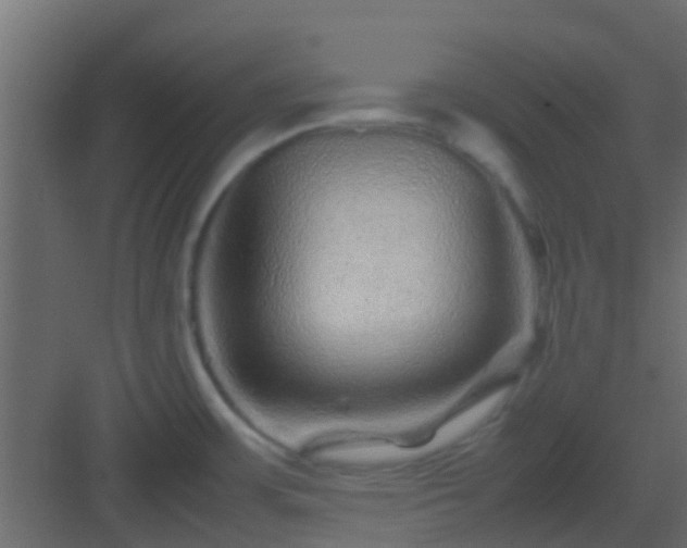 X0000082971483200702081729