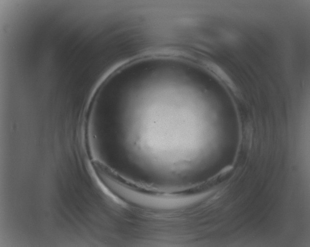 X0000082971484200702081729