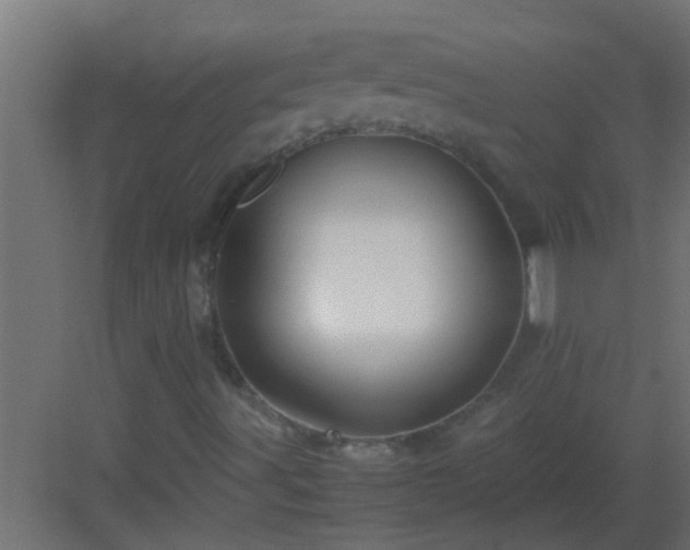 X0000082971491200702081728