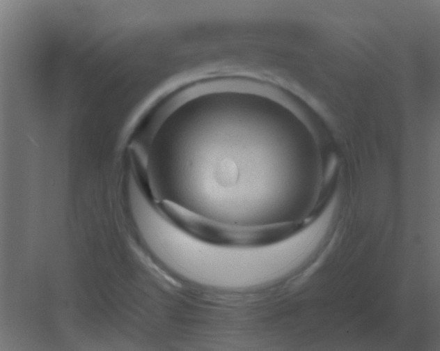 X0000082971502200702081728
