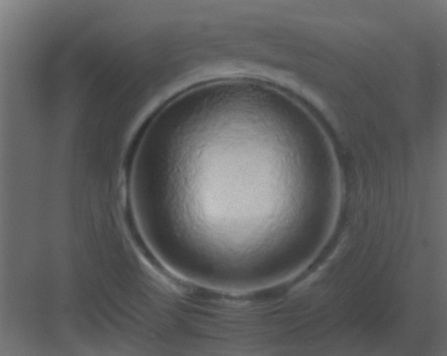X0000082971509200702081728