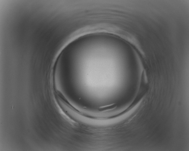X0000082971516200702081728