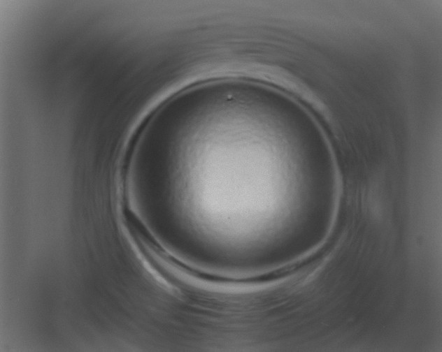 X0000082971517200702081728