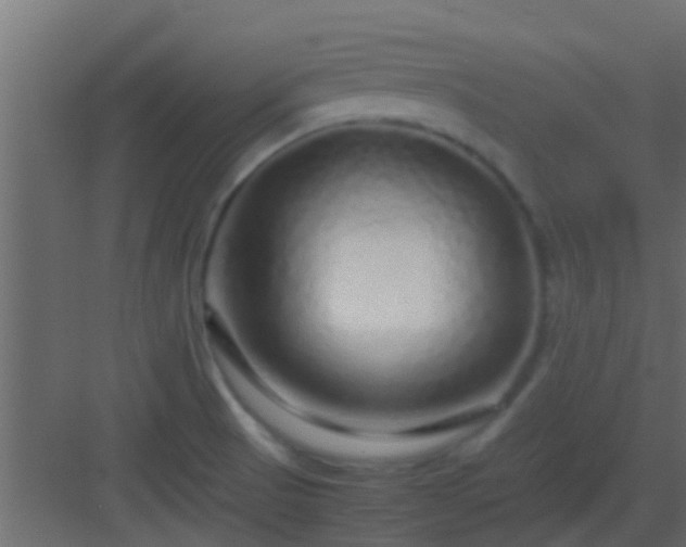 X0000082971521200702081728
