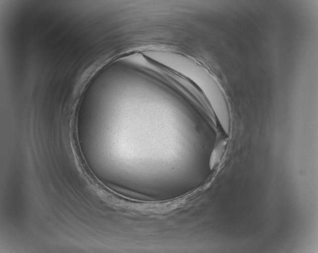 X0000082970001200702152344