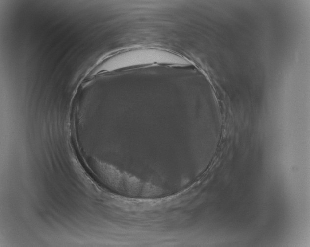 X0000082970002200702152344