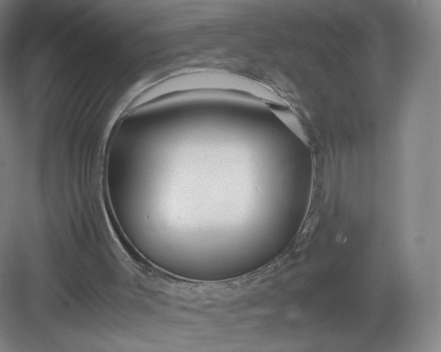 X0000082970003200702152344