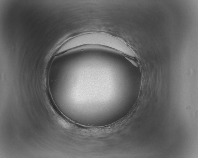 X0000082970005200702152344