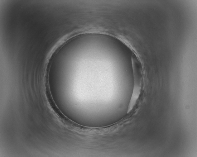 X0000082970007200702152343