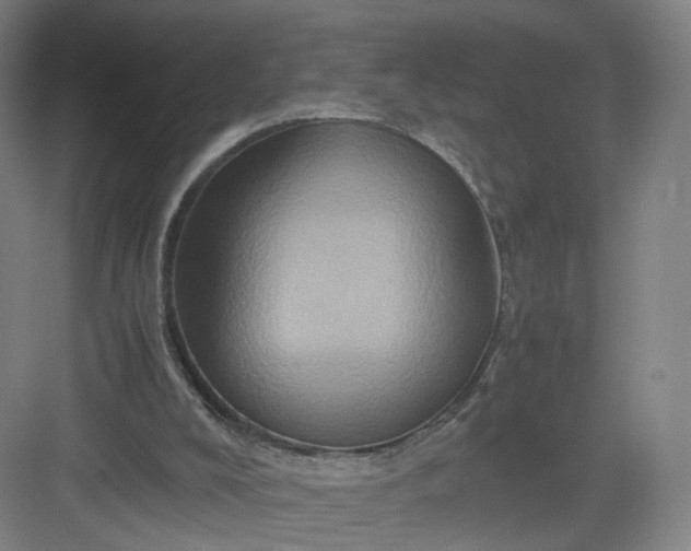 X0000082970008200702152343