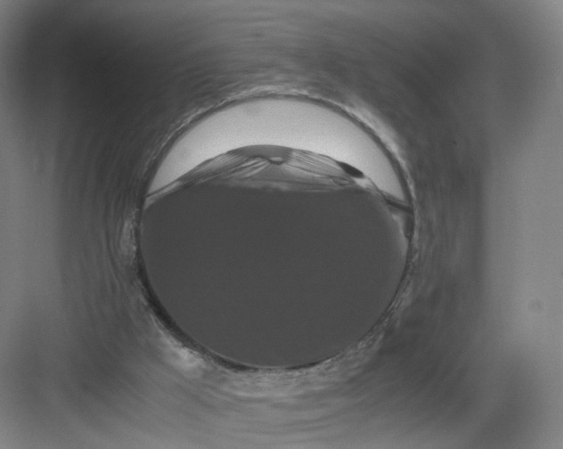 X0000082970009200702152343