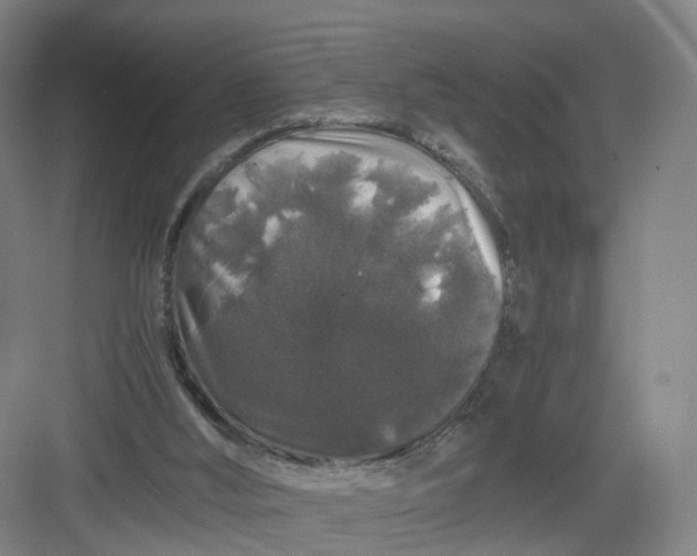 X0000082970012200702152343