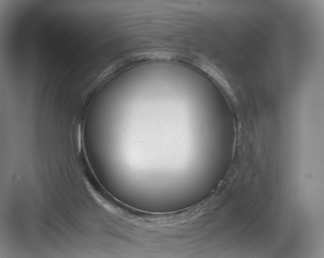 X0000082970013200702152343