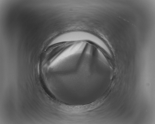 X0000082970019200702152343