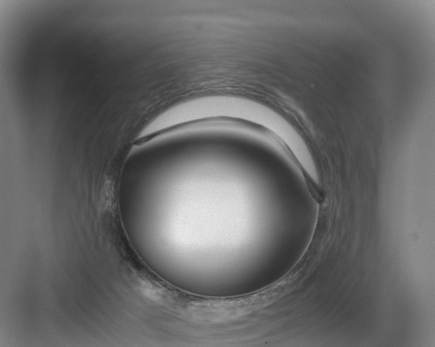 X0000082970025200702152343