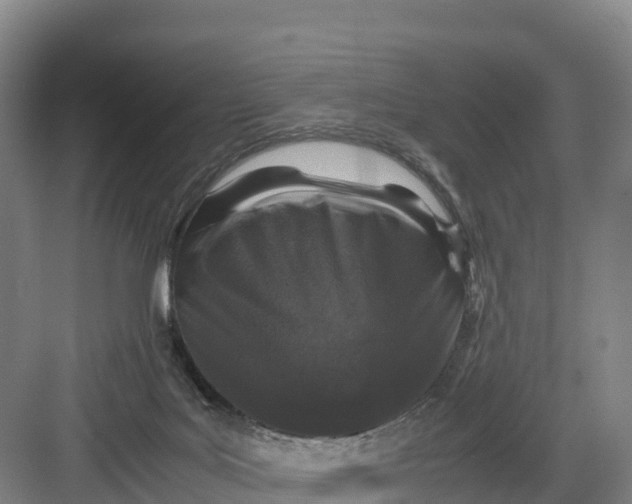 X0000082970027200702152343