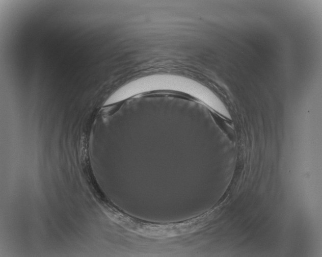 X0000082970029200702152343