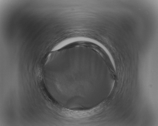 X0000082970031200702152343
